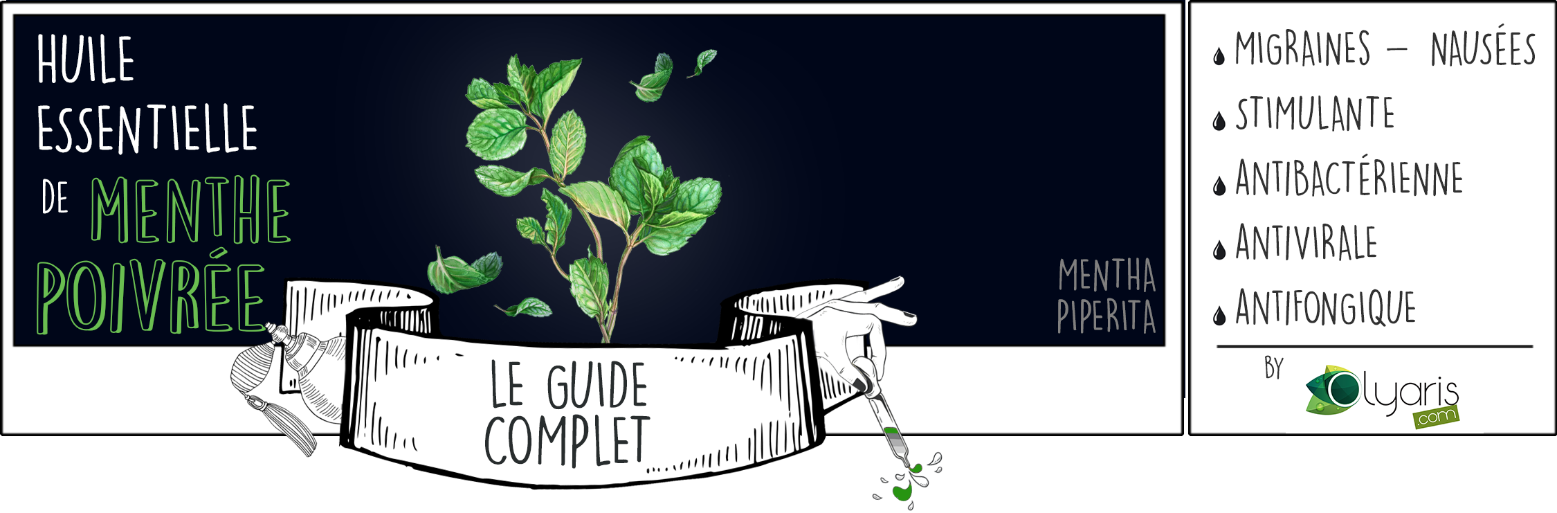 Huile Essentielle de Menthe Poivrée : Le Guide Complet par Olyaris